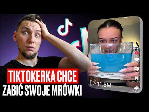 Tiktoker wants 💀 her ants for attention