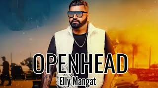 Open head ll elly mangat ll new punjabi (leaked) song