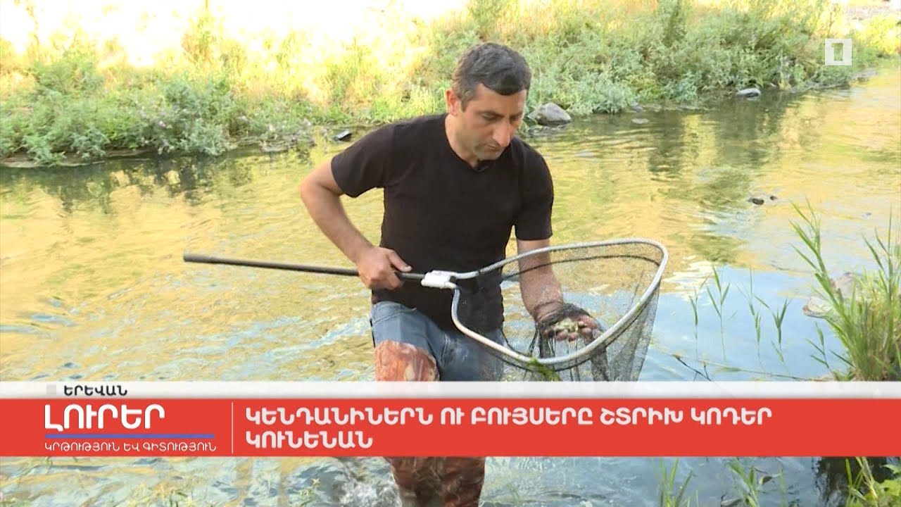 Կենդանիներն ու բույսերը շտրիխ կոդեր կունենան