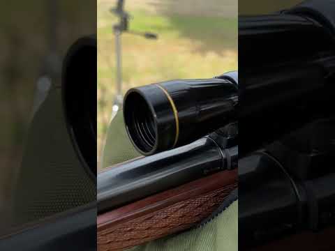 Anschutz 54 22lr Rifle