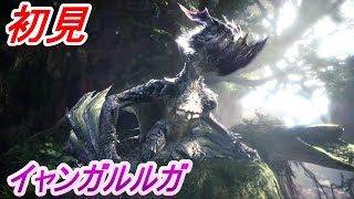激闘イャンガルルガと害悪ツィツィヤック【モンスターハンターワールドアイスボーン新天地で狩猟生活】