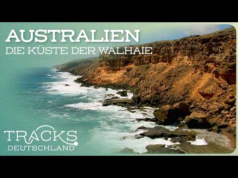 Documentary: Australia's Whale Shark Coast | Travel Documentary