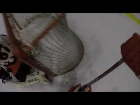 Kaspars Daugavins  Breakaway Spinorama