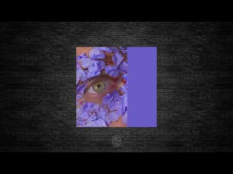 Premiere: SAVANN - Panorama - Annuna Music