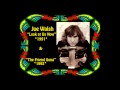 Joe Walsh- "Look at Us Now" and "The Friend Song"