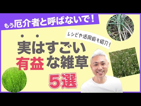 , title : '厄介者と呼ばせない！実はすごい有益な雑草５選'