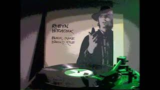 ROBYN HITCHCOCK - The Man Who Invented Himself (Filmed Record) Vinyl 1981 Black Snake The Soft Boys