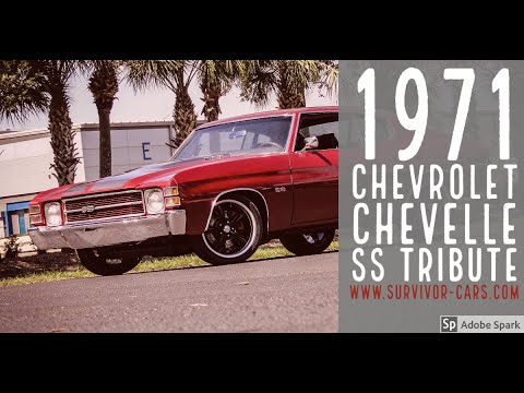 1971 Chevrolet Chevelle (CC-1352025) for sale in Palmetto, Florida
