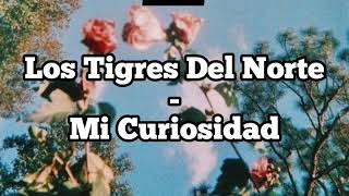 Los Tigres Del Norte - Mi Curiosidad ( Letra )