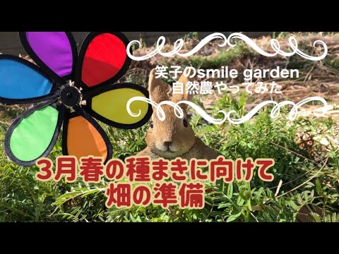 3月に何を植え、種をまき、収穫するか 花、野菜、果物の収穫は気候帯によって異なります