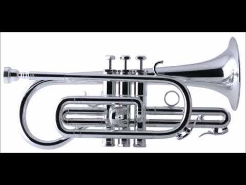 Concert Study / Alexander Goedicke, arr. Broughton