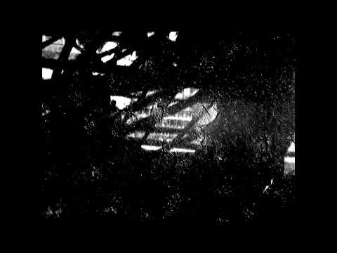 1900 - Scene from the elevator ascending Eiffel Tower - James Henry White (Edison Studios)