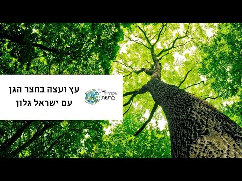 , title : 'עץ ועצה בחצר הגן עם ישראל גלון - לגננות'