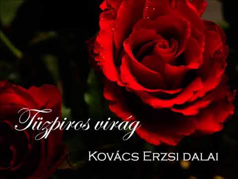 Tűzpiros virág   Kovács Erzsi dalai