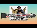 Mr Lenzo - SIZO JIKA ZINTO ft. Kha-Ju SA & Lnathi Radebe (New Hit visualizer)