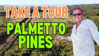 Touring Palmetto Pines : A Secure 24hrs Gated Community with Claudia Davis || Claudia Davis