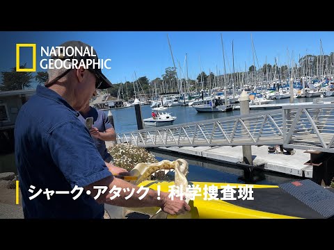 ジュピター:研究者らが予期せぬ変化を発見 – 「これは本当に初めてです」