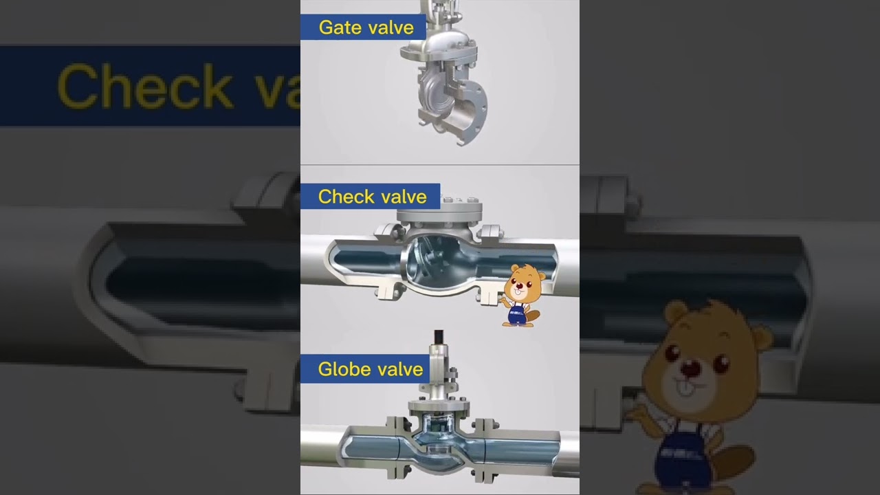 Gate valve, check valve, globe valve valve working principle