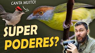 Miniatura do vídeo