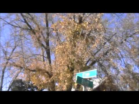 The Wolfgang Crypt - Foxen 3