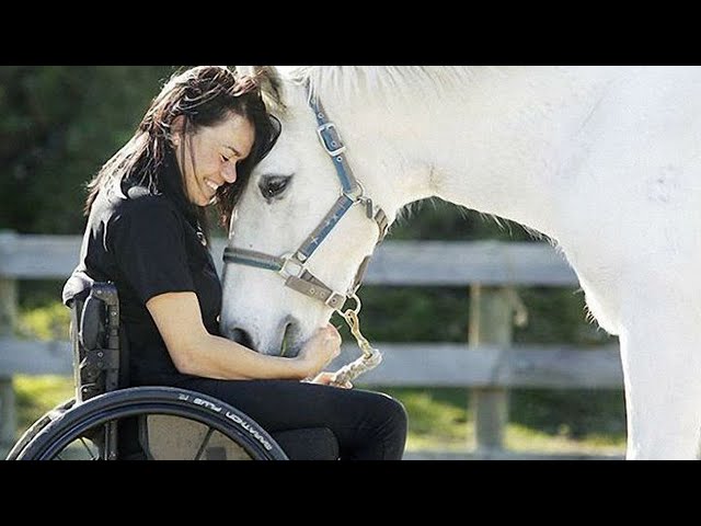 Ангарчане с инвалидностью получили дополнительную возможность реабилитации