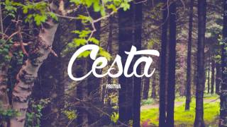 Protiva - Cesta