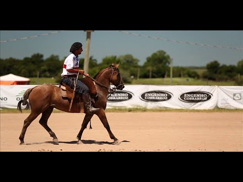 3º Lugar Redomão na Lagoa 2016 - Tomaz Gonçalves e Firmeza 2059