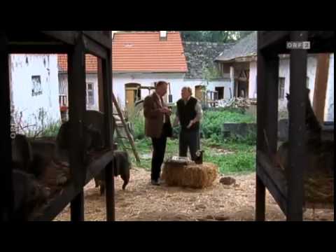 Julia eine ungewöhnliche Frau - Staffel 1 Folge 12 - Ehrlich währt am längsten