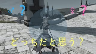 【FF14】個人的な中身性別を判断する方法