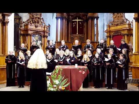 Vidi Aquam (G. Venislovas) - choras Langas