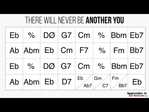 There Will Never Be Another You - Playback jazz manouche - Gypsy jazz backing track / play along