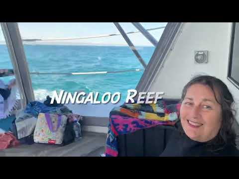 Ningaloo Reef & the Beautiful Coral Coast of Western Australia