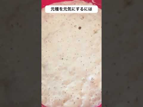 トマト酵母の使い方は？あまり知られていないが効果的な肥料に注目！  庭園