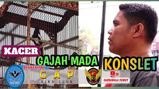Download lagu KACER GAJAH MADA KONSLET mp3