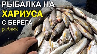 Ловля хариуса весной в хабаровском крае