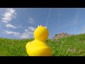 Prins S En De Geit De Duck Official Music Video