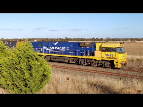5MP2 Pacific National Steel Train With Additional Container Loading (15/5/2024) - PoathTV Railways