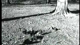 I&#39;ll take New York.mov