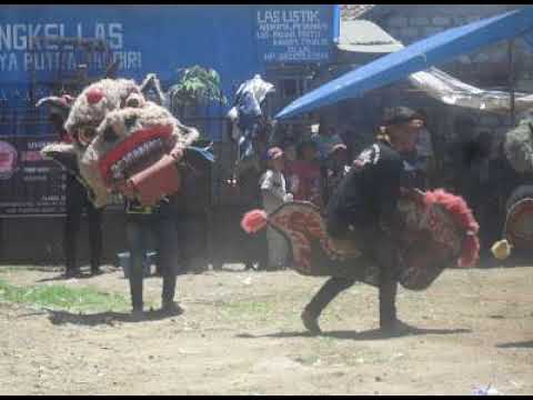 Madrotter ft. Fish & Kryptik