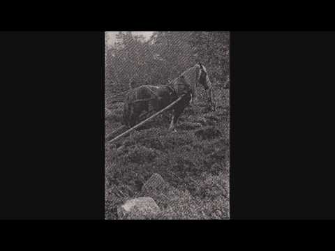 Ättestupa - Nattmannen