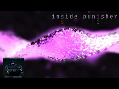 Collapse Project - Inside Punisher [Synthesized LP]