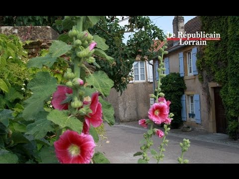 Nos lecteurs ont voté Lessy est le plus beau village du Pays Messin