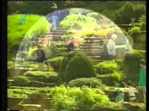 PLODOVI IMANA 4 - Zahvalni Allahovi robovi