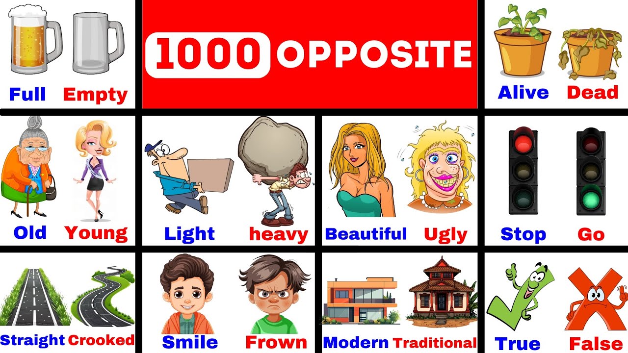 Opposite Words |1000 Opposite words in English with Examples | Antonyms Words | English Vocabulary
