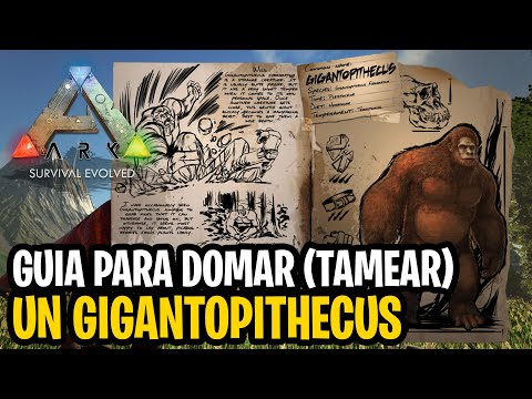 ARK ~ Cómo domar (tamear) un GIGANTOPITHECUS 2021