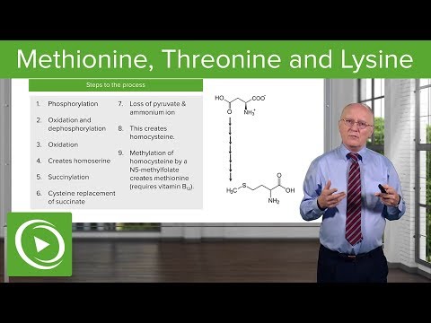 , title : 'Methionine, Threonine and Lysine Metabolism – Biochemistry | Lecturio'