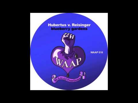 Hubertus van Reisinger - Blueberry Gardens - Sven Wegner Remix