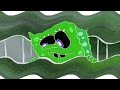 Patrick Yells Finland Effects Sponsored By Wnet 1973 Logo Effects Part 1 Fixed