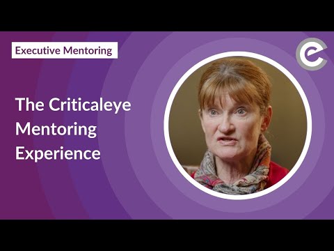 The Criticaleye Mentoring Experience