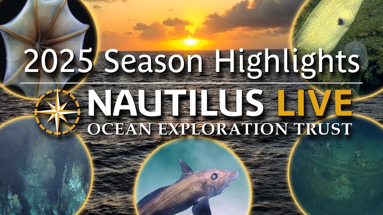Best of E/V Nautilus 2025: Expedition Highlights | Nautilus Live